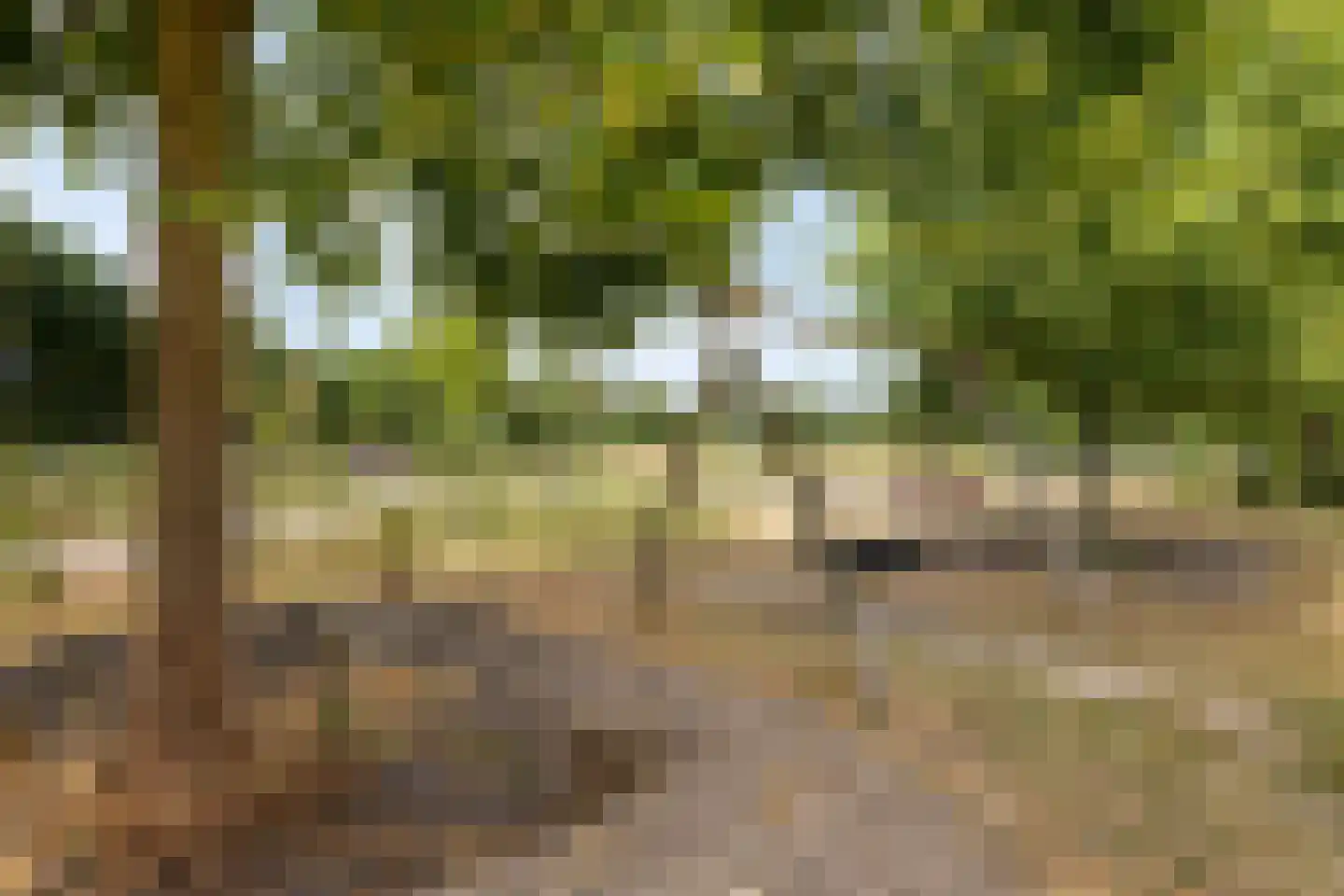 Poortstraat 20 Serooskerke thumbnail 22