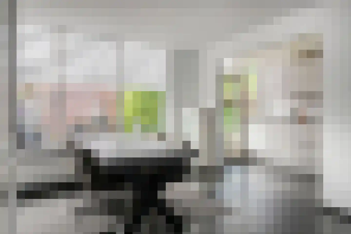 Poortstraat 20 Serooskerke thumbnail 4