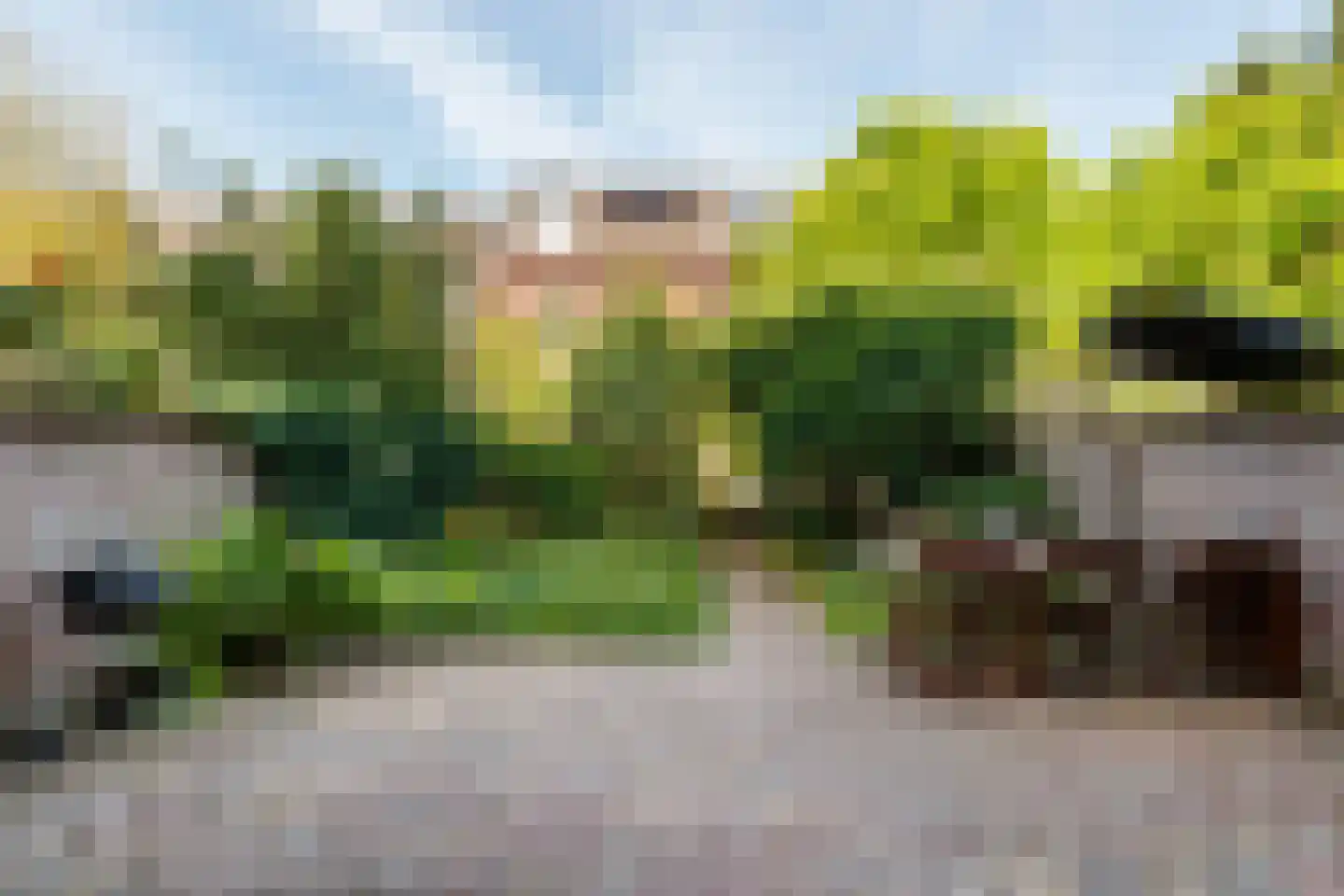 Poortstraat 20 Utrecht thumbnail 11