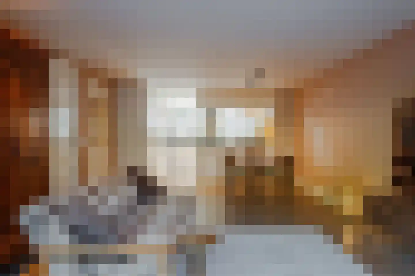 Poortstraat 20 Utrecht thumbnail 15
