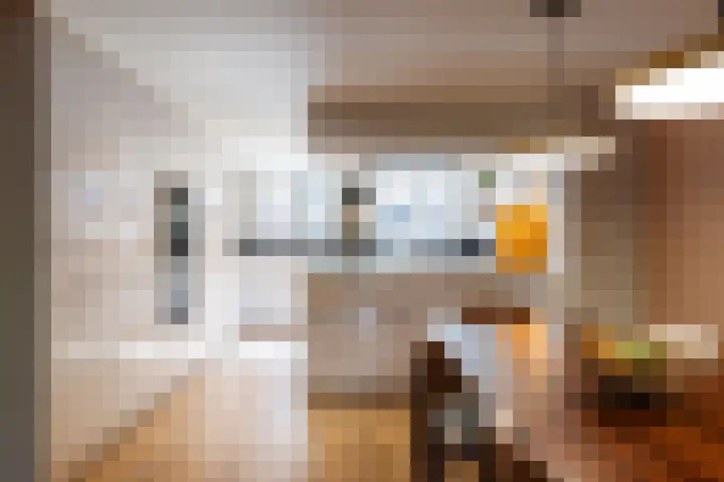 Poortstraat 20 Utrecht thumbnail 17