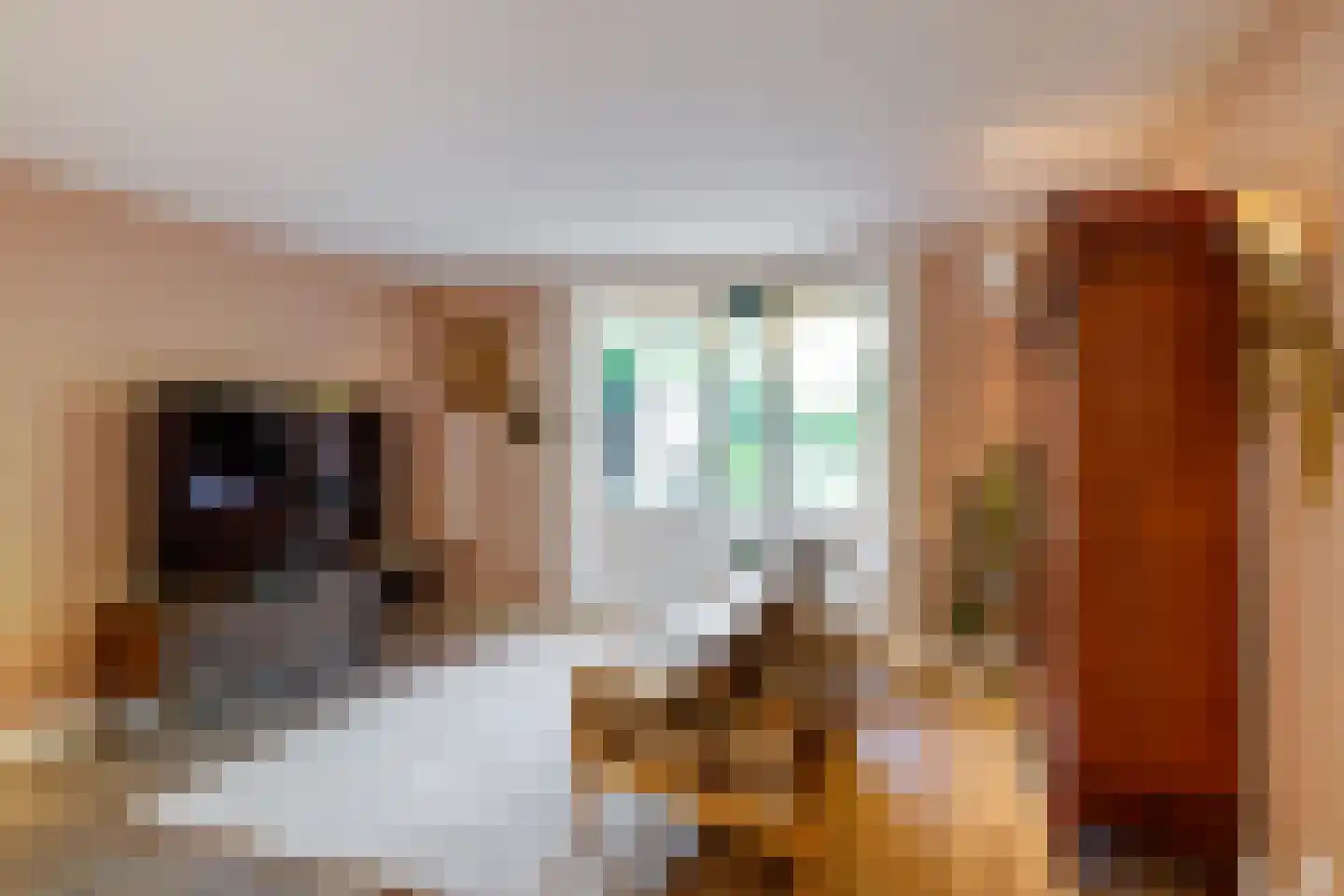 Poortstraat 20 Utrecht thumbnail 21