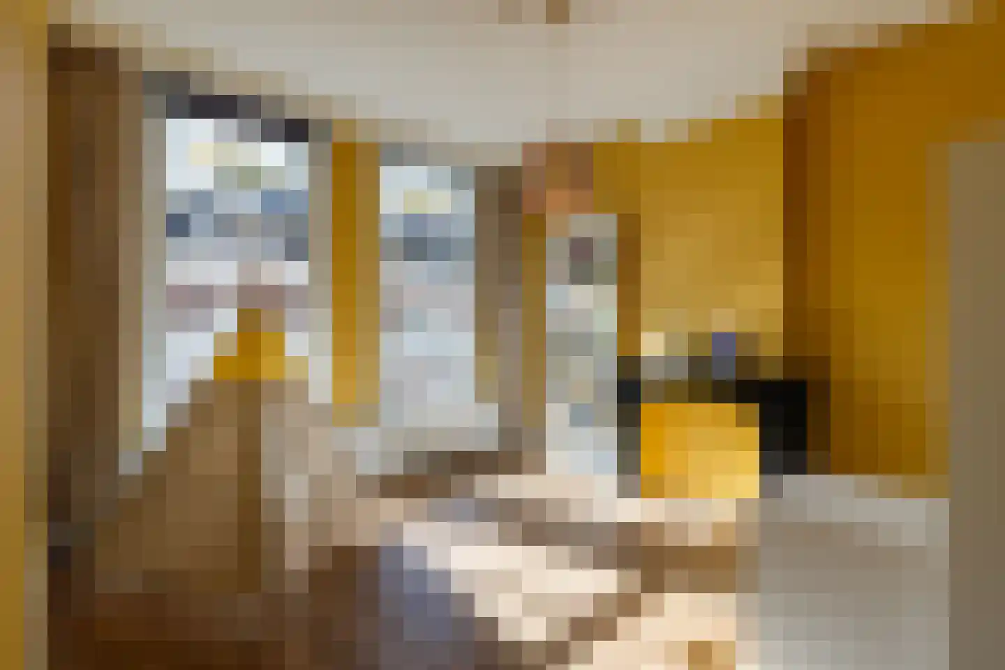 Poortstraat 20 Utrecht thumbnail 28