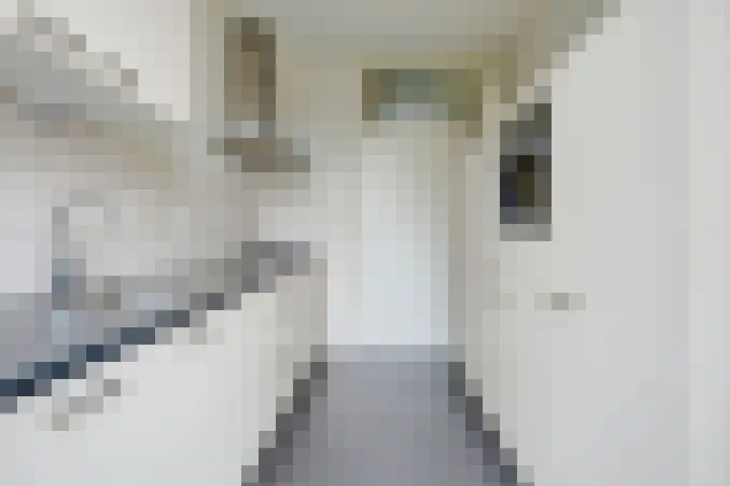 Poortstraat 22 Serooskerke thumbnail 14