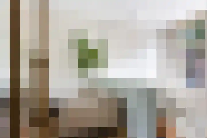 Poortstraat 22 Utrecht thumbnail 13