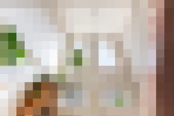 Poortstraat 22 Utrecht thumbnail 17