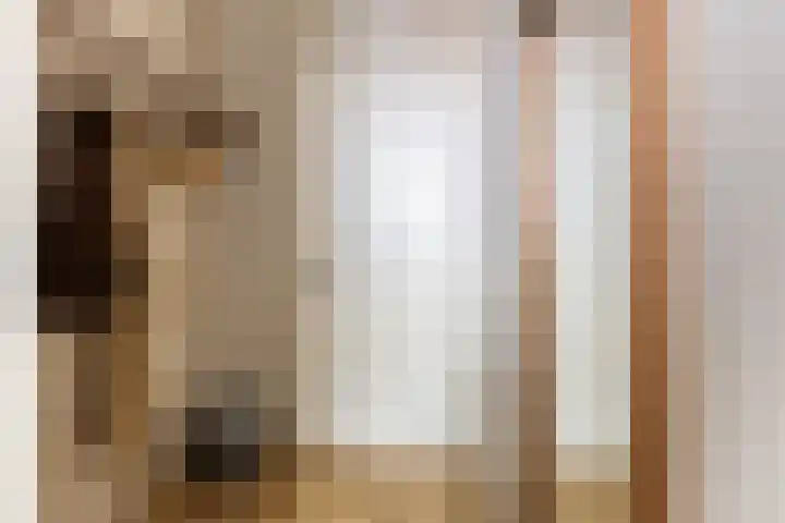 Poortstraat 22 Utrecht thumbnail 6