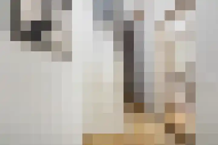 Poortstraat 22 Utrecht thumbnail 8