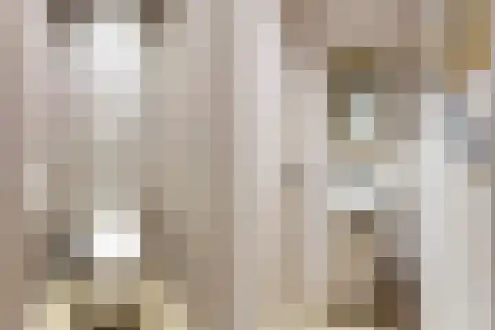 Poortstraat 22 Utrecht thumbnail 9