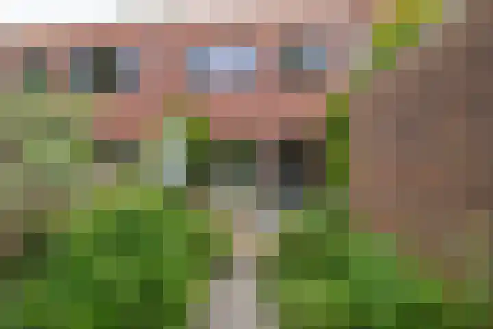Poortstraat 25 Groningen thumbnail 37