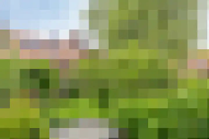 Poortstraat 25 Groningen thumbnail 38