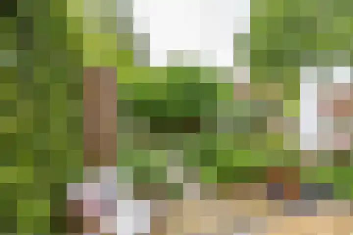 Poortstraat 25 Groningen thumbnail 39