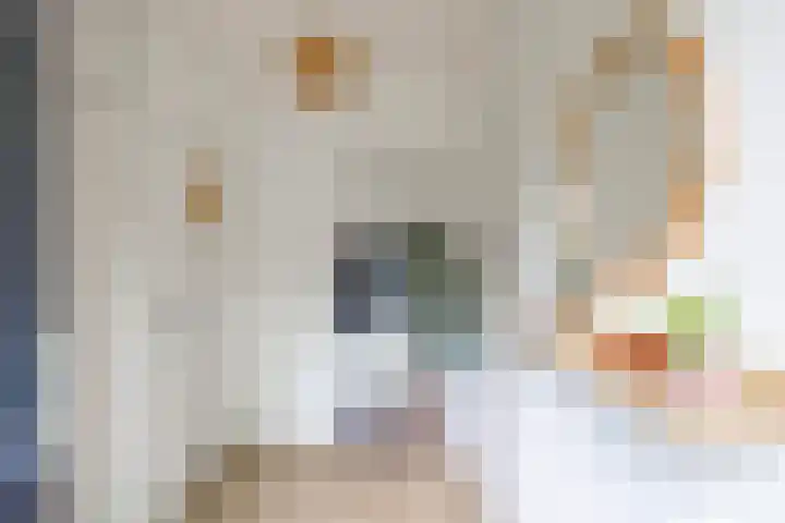 Poortstraat 25 Groningen thumbnail 4