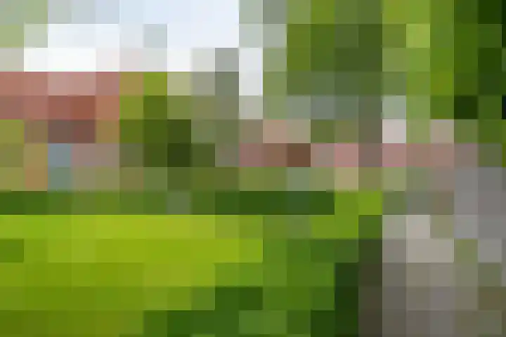 Poortstraat 25 Groningen thumbnail 45