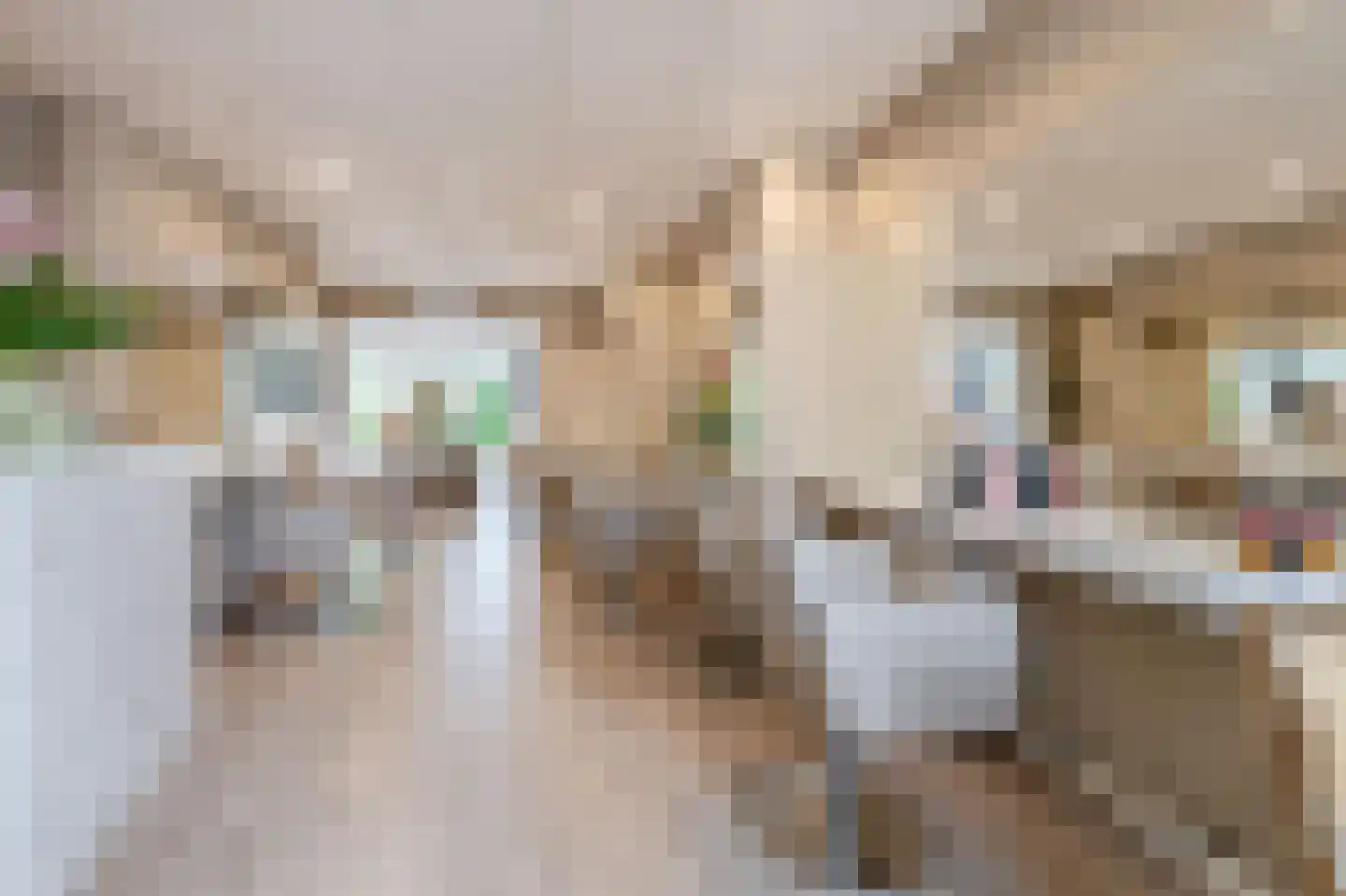 Poortstraat 25 Winschoten thumbnail 4