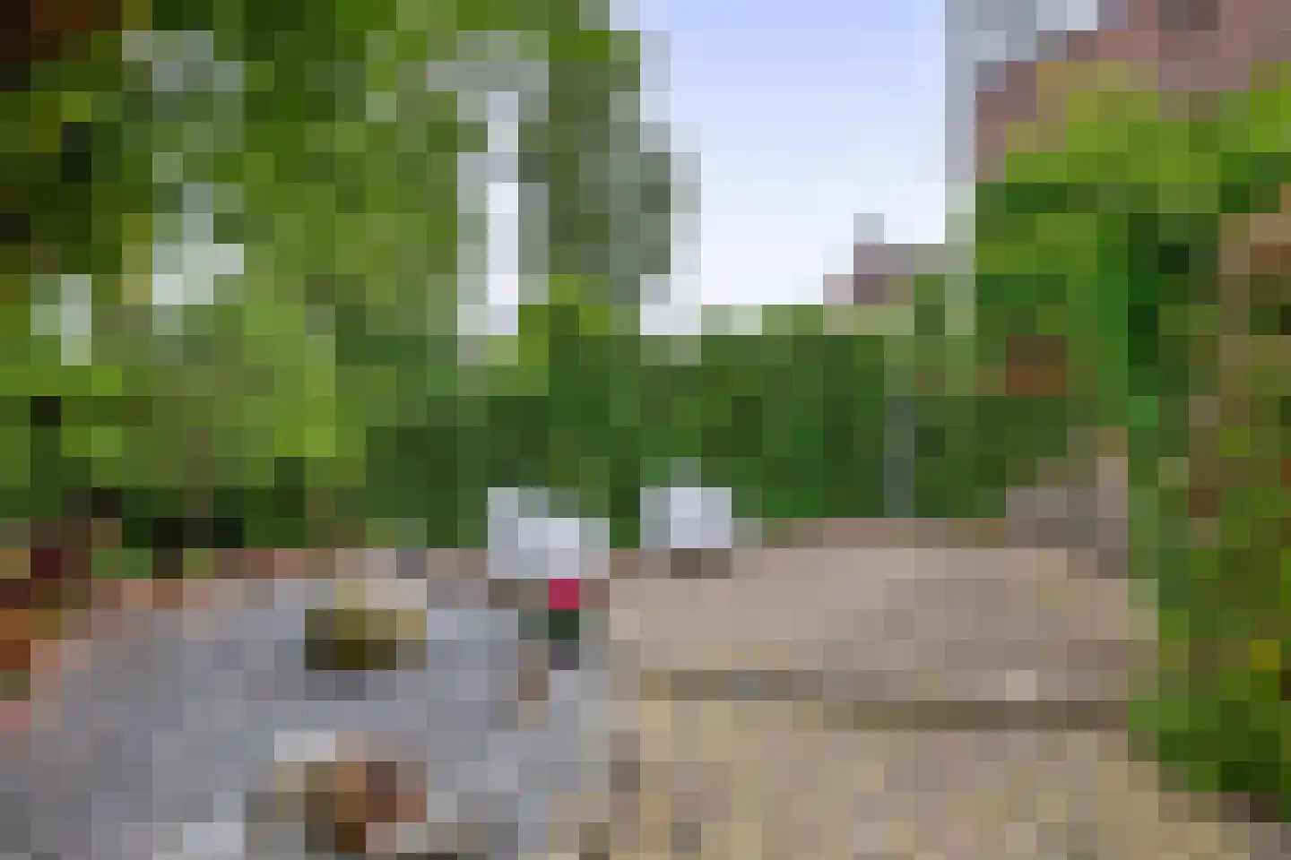 Poortstraat 25 Winschoten thumbnail 57