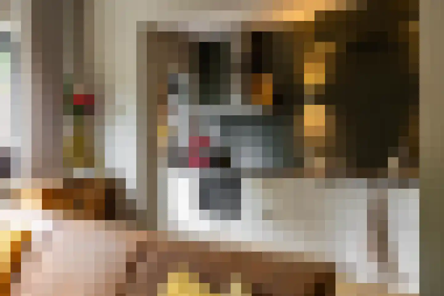 Poortstraat 26 Groningen thumbnail 22