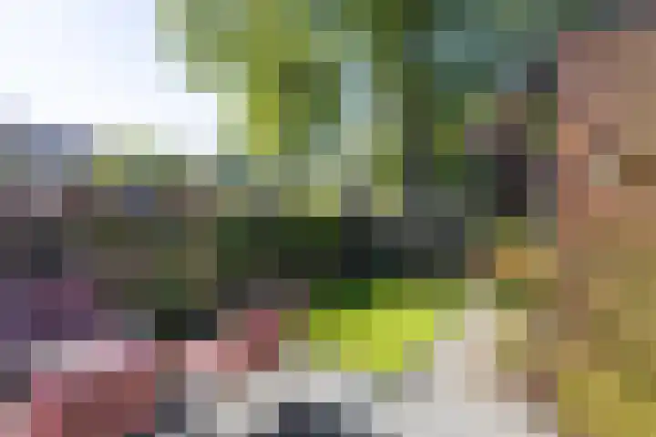 Poortstraat 28 Groningen thumbnail 21
