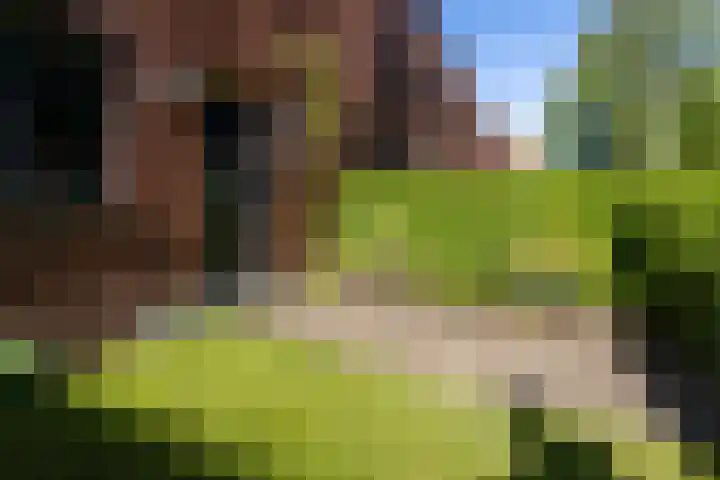 Poortstraat 28 Groningen thumbnail 28