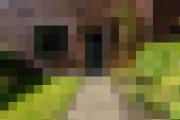 Poortstraat 28 Groningen thumbnail 29