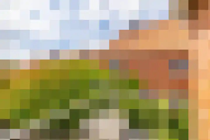 Poortstraat 3 a Groningen thumbnail 25
