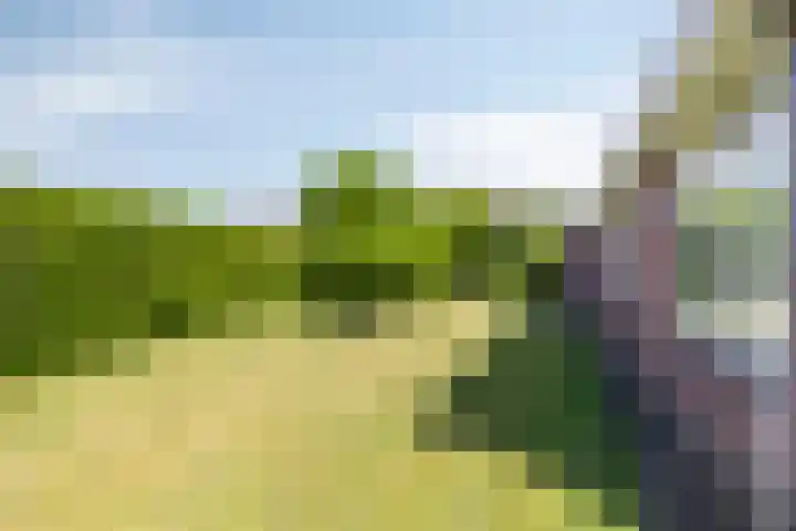 Poortstraat 3 Serooskerke thumbnail 26