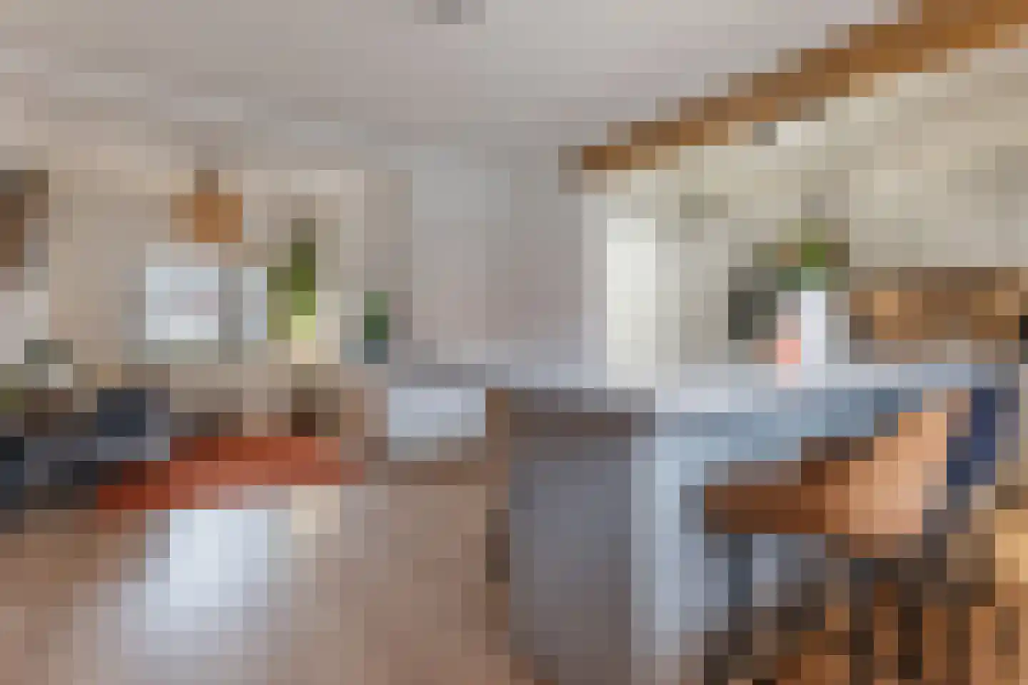 Poortstraat 31 Groningen thumbnail 10