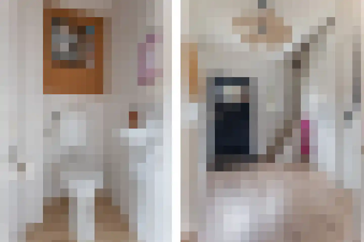 Poortstraat 31 Groningen thumbnail 17