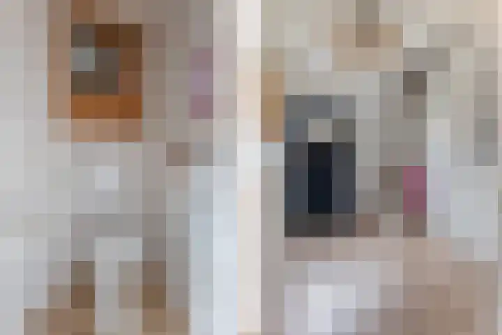 Poortstraat 31 Groningen thumbnail 17