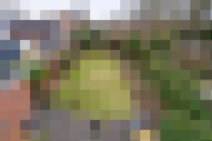 Poortstraat 4 Winschoten thumbnail 36