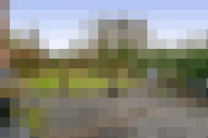 Poortstraat 4 Winschoten thumbnail 47