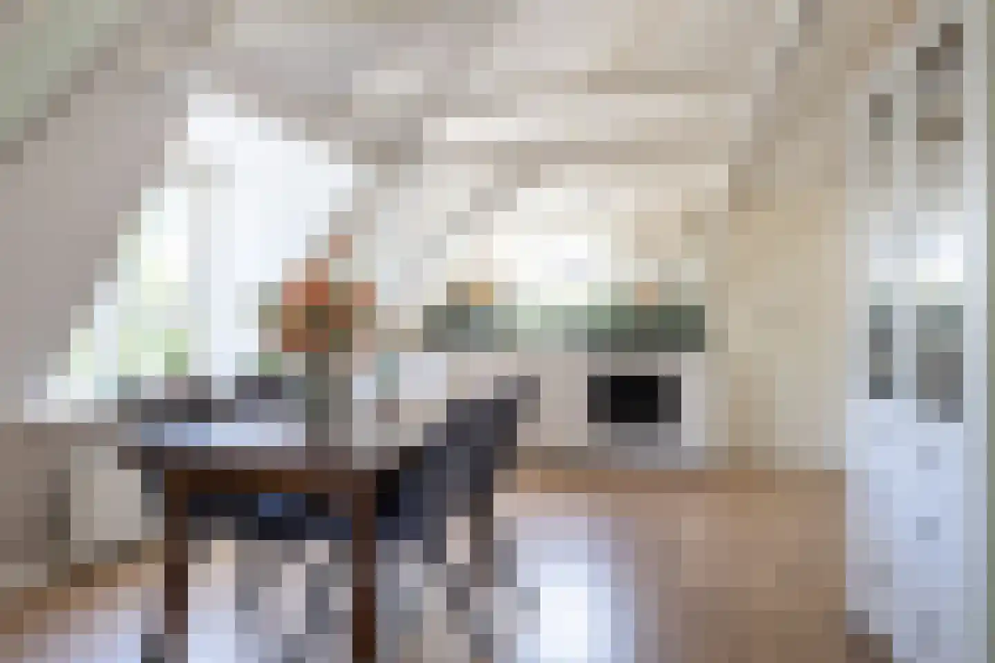 Poortstraat 63 C Utrecht thumbnail 15