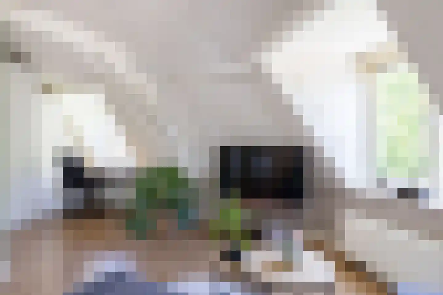 Poortstraat 63 C Utrecht thumbnail 7