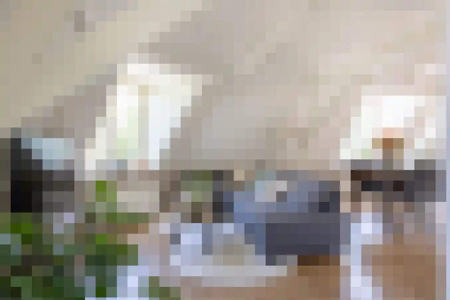 Poortstraat 63 C Utrecht thumbnail 9
