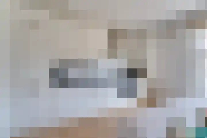 Poortstraat 64 A Utrecht thumbnail 8