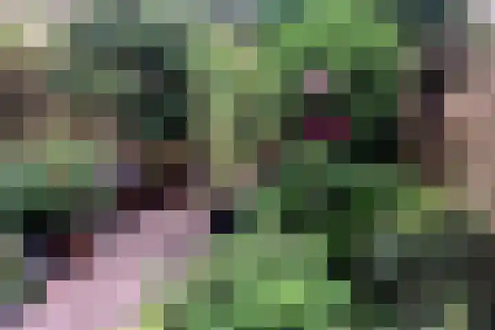 Poortstraat 89 Utrecht thumbnail 15
