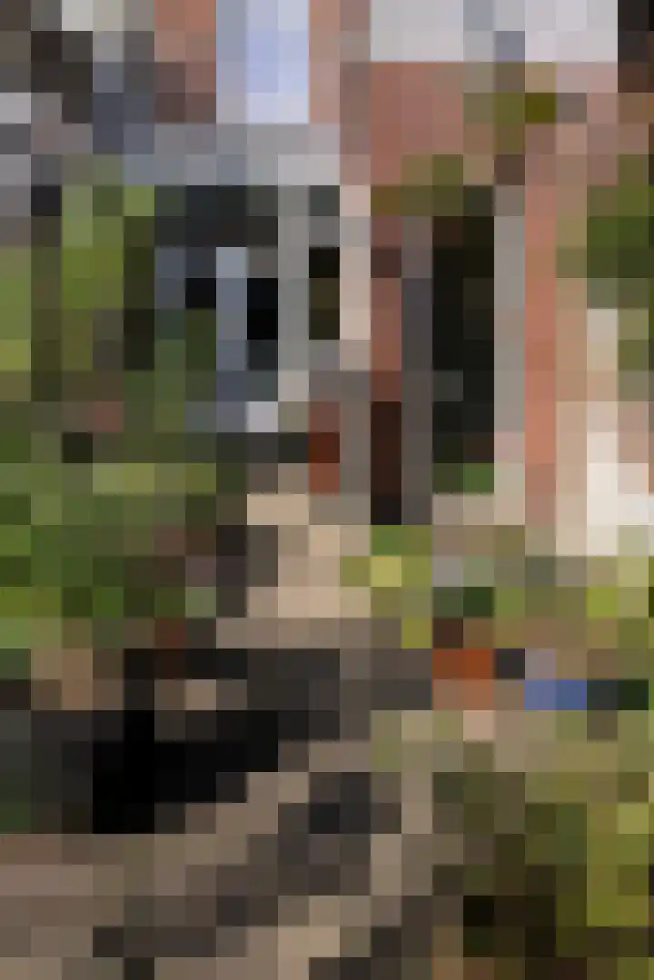 Poortstraat 89 Utrecht thumbnail 20