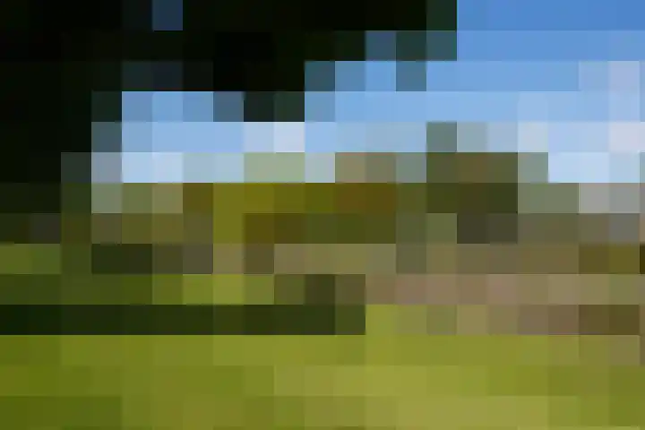 Poortstraat 89 Utrecht thumbnail 38
