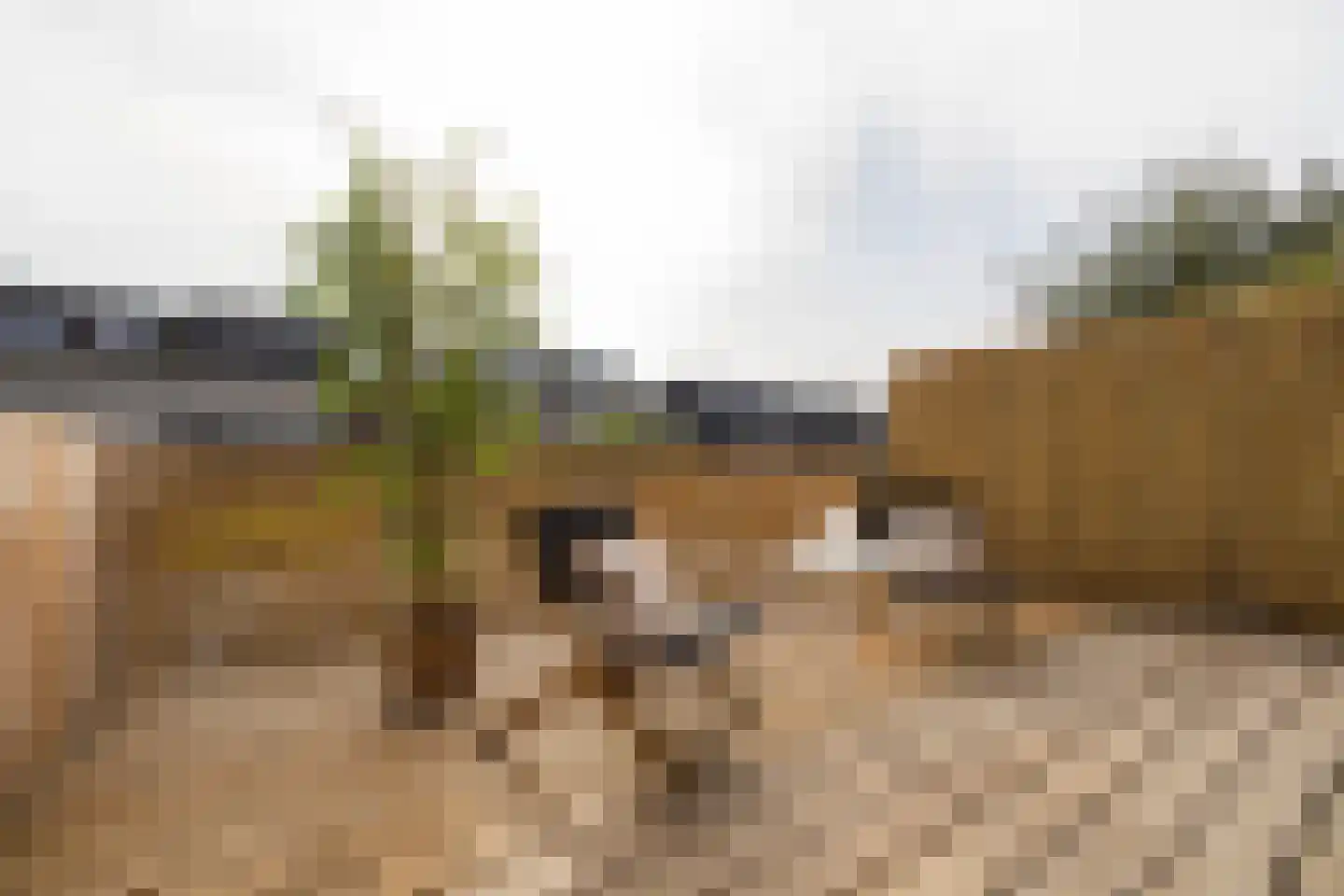 Poortstraat 95 Utrecht thumbnail 21