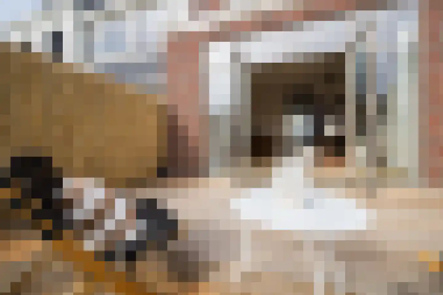 Poortstraat 95 Utrecht thumbnail 22