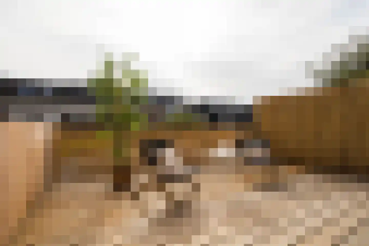 Poortstraat 95 Utrecht thumbnail 4