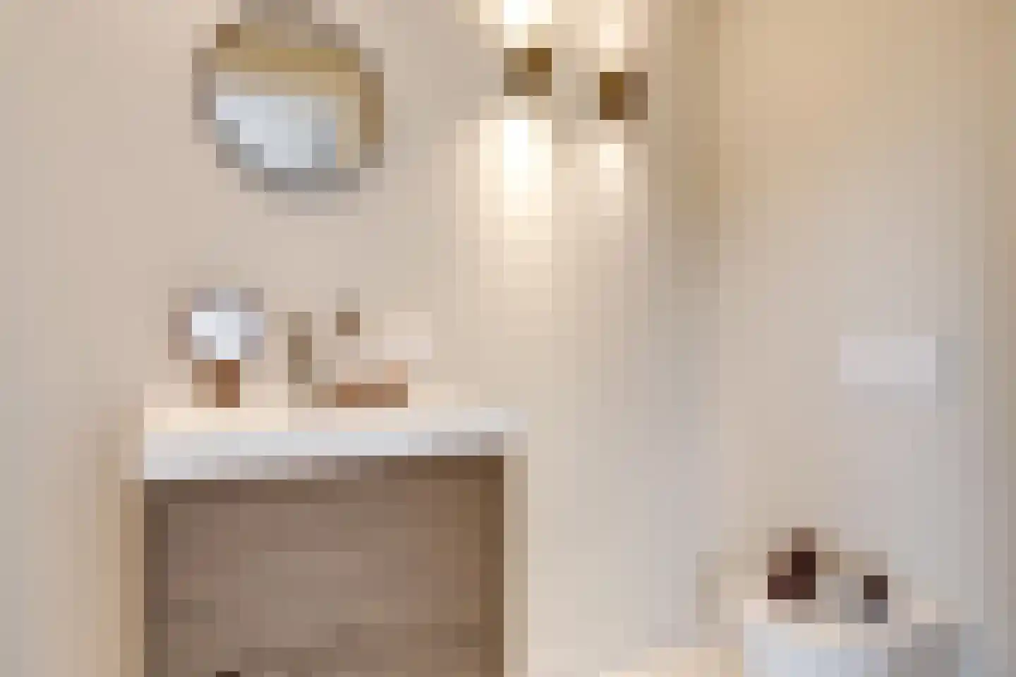 Poortstraat 95 Utrecht thumbnail 45