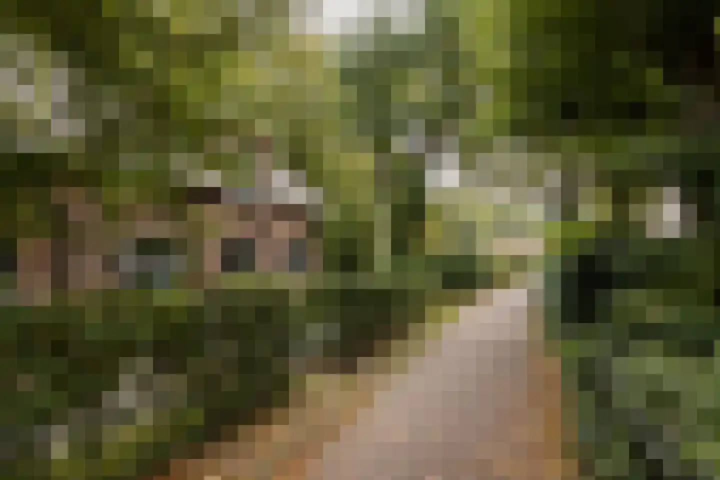 Poortstraat 95 Utrecht thumbnail 50