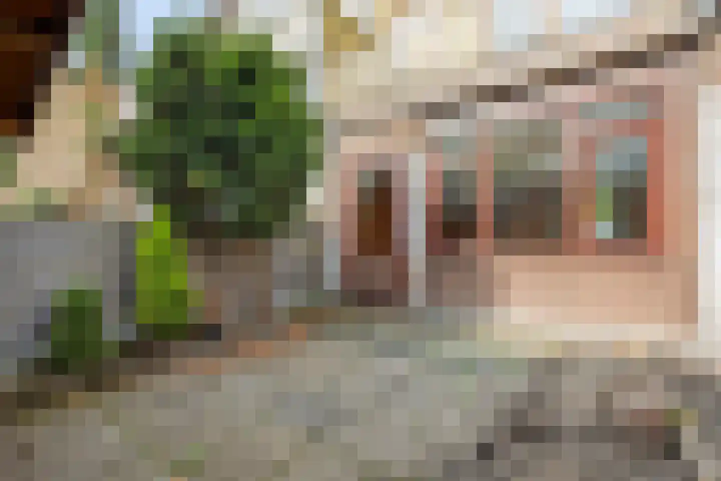 Poortugaalsestraat 11 Schiedam thumbnail 26
