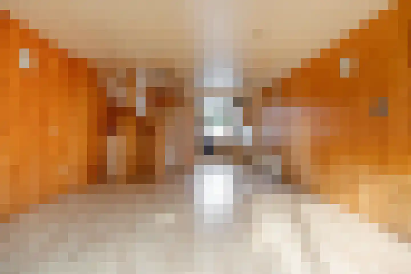 Poortugaalsestraat 11 Schiedam thumbnail 8