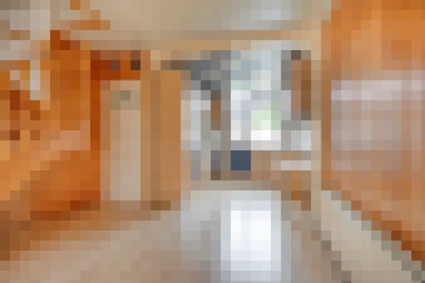 Poortugaalsestraat 11 Schiedam thumbnail 9