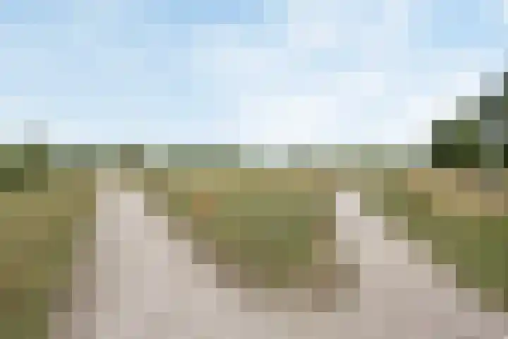Poortugaalstraat 13 Zoetermeer thumbnail 36