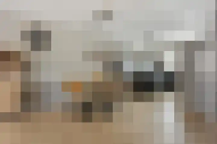 Poortugaalstraat 13 Zoetermeer thumbnail 4