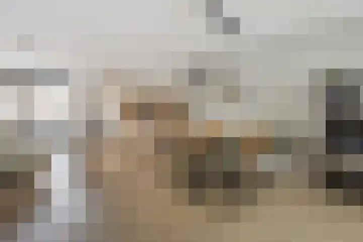 Poortugaalstraat 13 Zoetermeer thumbnail 5