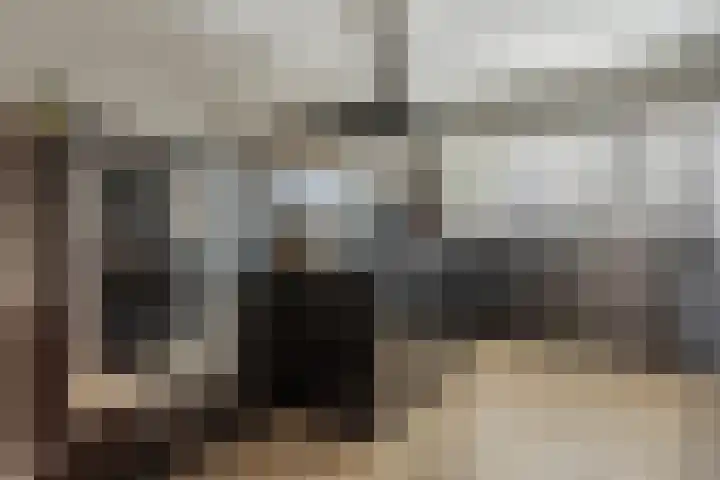 Poortugaalstraat 13 Zoetermeer thumbnail 6